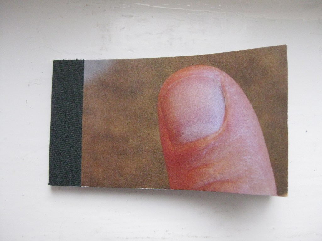 Daumenkino – flip-book