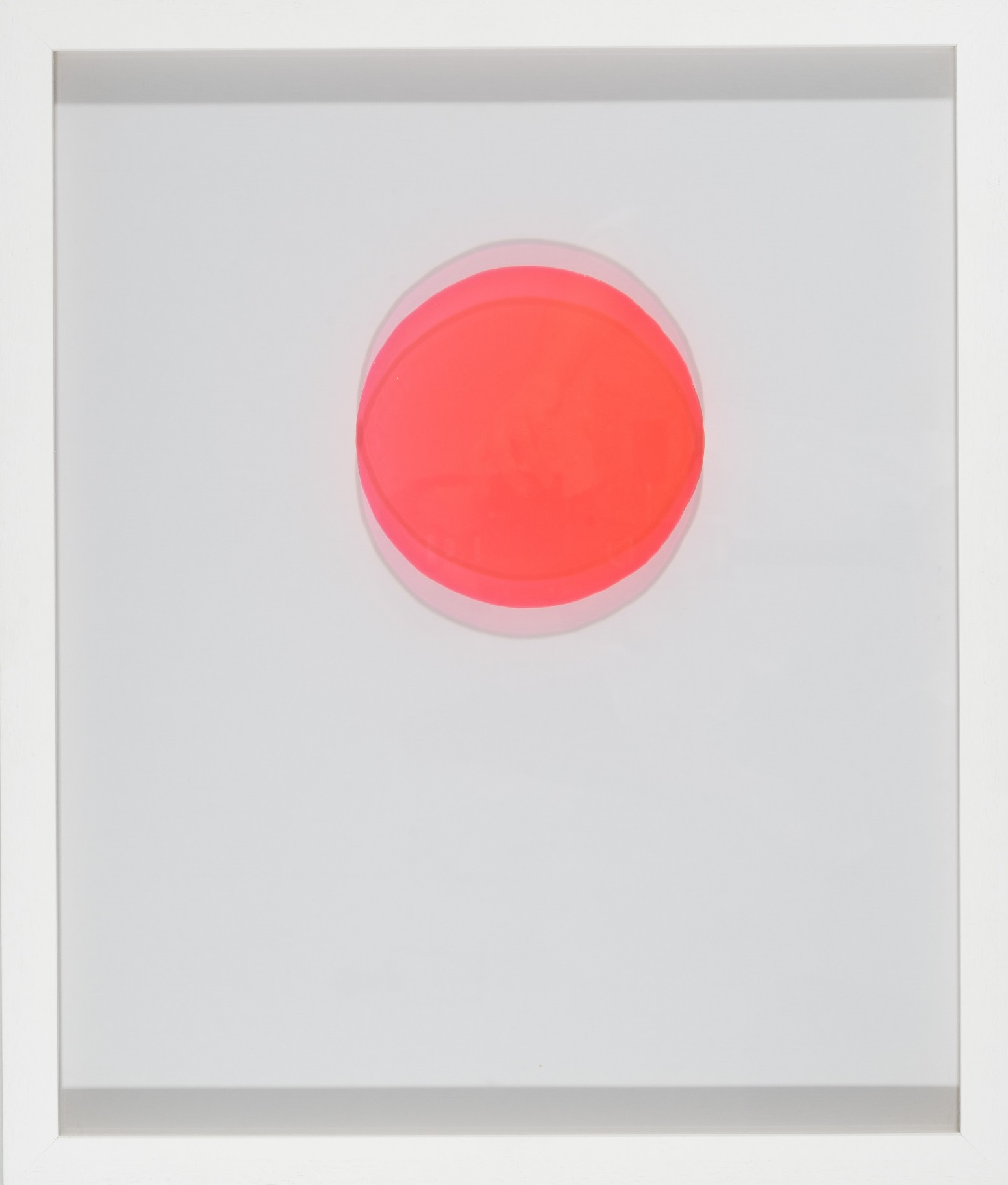 _DSC5161_Fotografie_Robert_Vanis