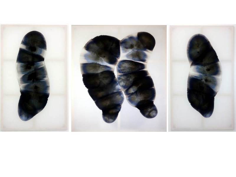 black and white&nbsp;paintings