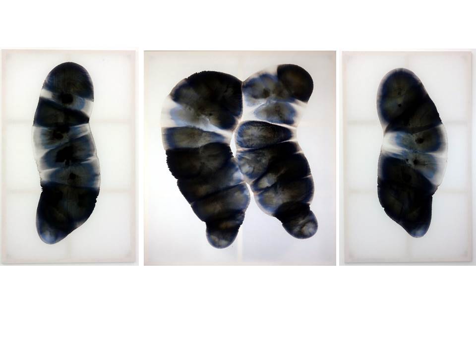 black and white&nbsp;paintings