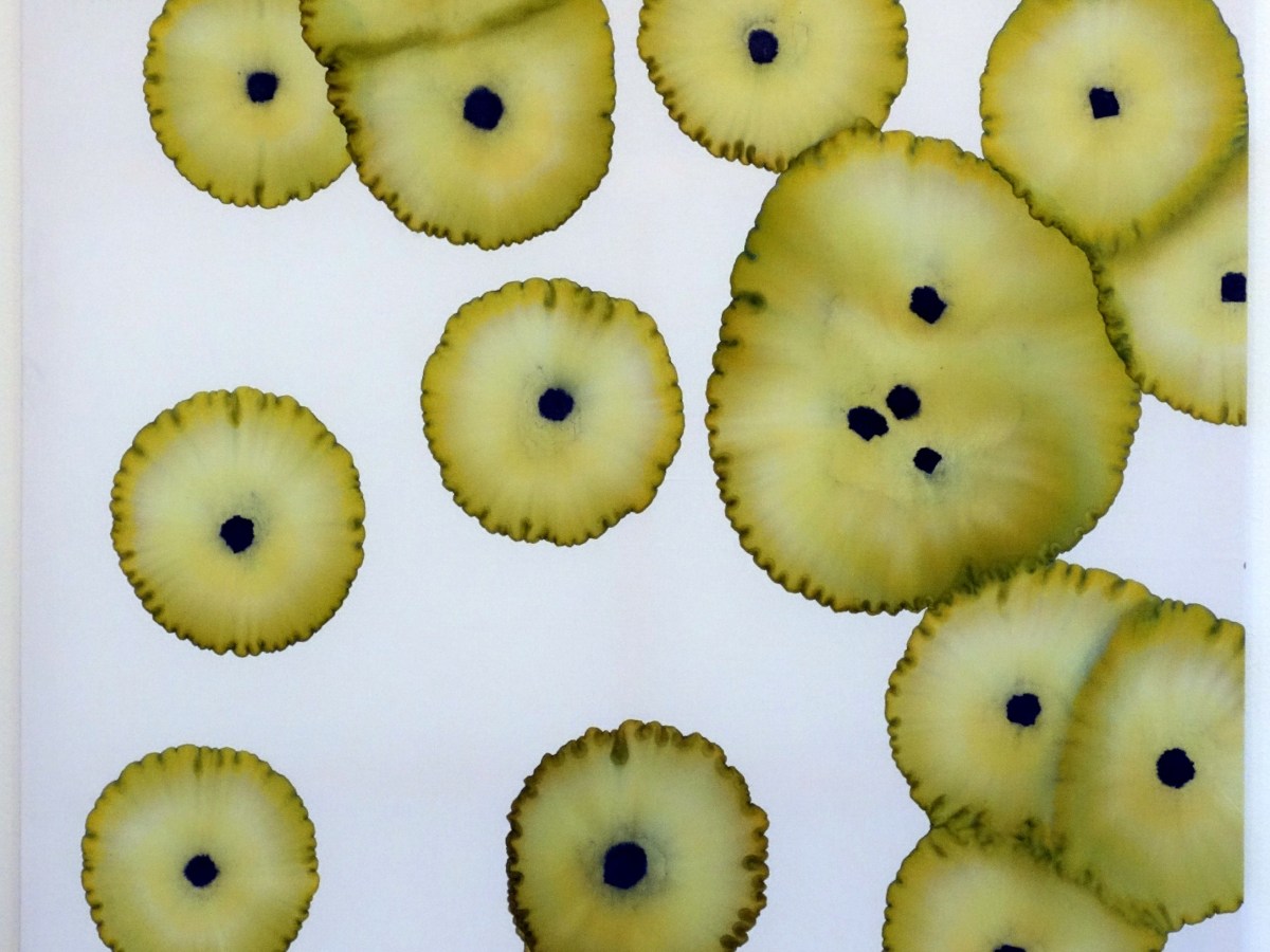 paintings based on collective&nbsp;decisions