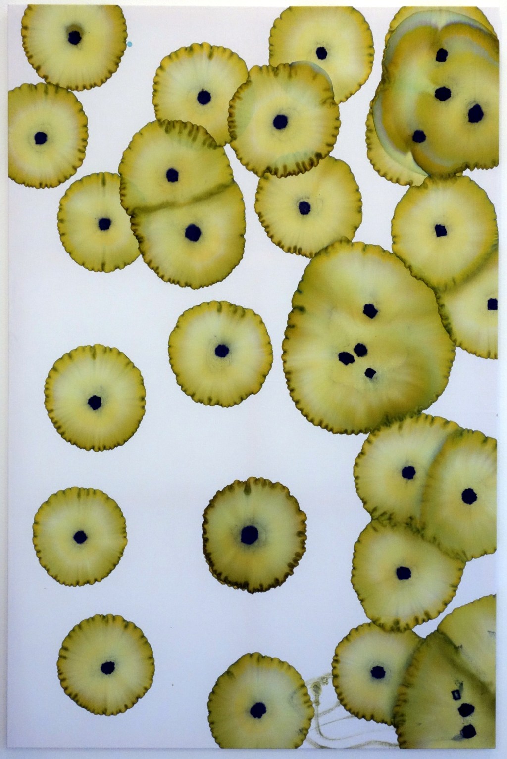 paintings based on collective&nbsp;decisions